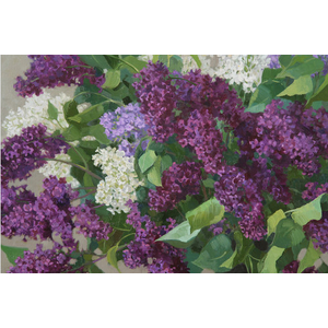 Кликните для увеличения изображения